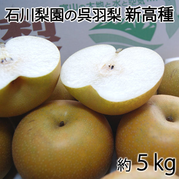 【予約販売】石川梨園の「呉羽梨」新高種 約５kg 富山県産 大玉以上５〜１０玉 赤秀品 ＊常温便 ＊送料込