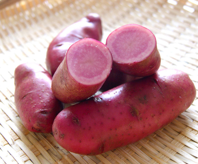 【お野菜探訪】食卓を明るくする赤いじゃがいもノーザンルビー