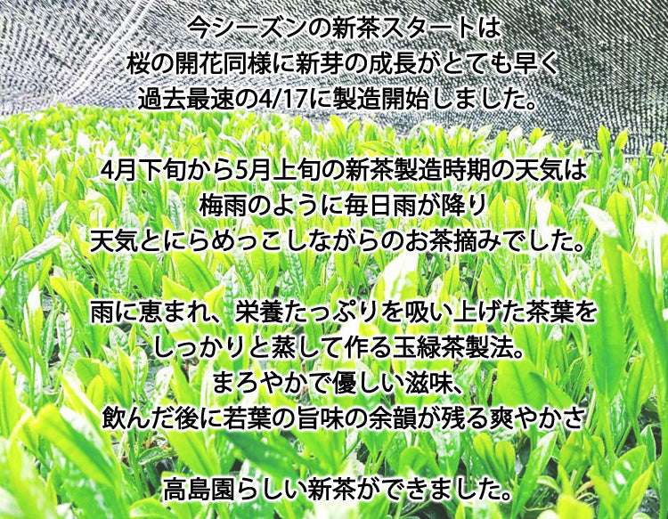 2024年産茶 【ギフト箱】無農薬無化学肥料栽培かぶせ茶 玉緑茶製法「初みどり」一番茶　３袋入　（1袋約１００g×３）　＊常温便 ＊送料込