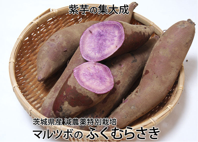 マルツボの「ふくむらさき」紫芋 減農薬特別栽培 茨城県産 大小混在約３kg【紫色のさつまいも】＊常温便　＊送料込