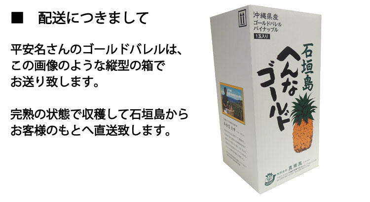 ７月上旬から発送 平安名さんのゴールドバレル　減農薬栽培　石垣島産　１玉　1.7〜2.1kg　＊常温便 ＊産地直送 ＊代引き不可 ＊送料込