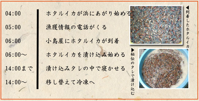 無添加 小島屋のホタルイカの沖漬け 富山湾産　約４00ｇ（約２００ｇ×2箱入）　＊送料込　＊冷凍便