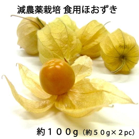 ネクスファームの「食用ほおずき（フルーツほおずき）」岩手花巻産　約１００ｇ　（１パック約50g×２パック）減農薬栽培 ＊送料込 ＊代引き不可 ＊冷蔵便