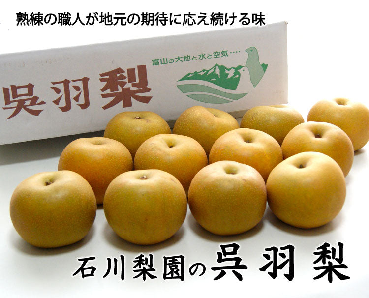 【予約販売】石川梨園の「呉羽梨」富山県産 大玉以上５〜８玉　約３kg  赤秀品　＊常温便　＊送料込