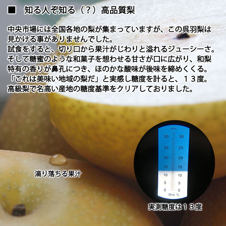 【予約販売】石川梨園の「呉羽梨」新高種 約５kg 富山県産 大玉以上５〜１０玉  赤秀品 ＊常温便 ＊送料込