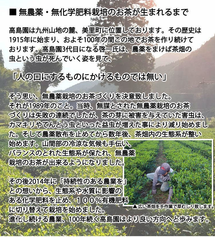 2024年産茶【玉緑茶製法訳あり茎茶】高島園の無農薬無化学肥料栽培茶「白折」　1袋　約３００g　＊ゆうパケット便送料込