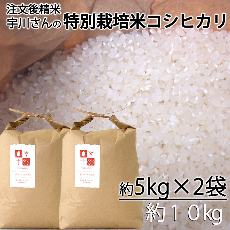 令和６年産新米　減農薬特別栽培米　宇川さんの「コシヒカリ」白米（注文後精米）　約５kｇ×２袋　＊送料込　