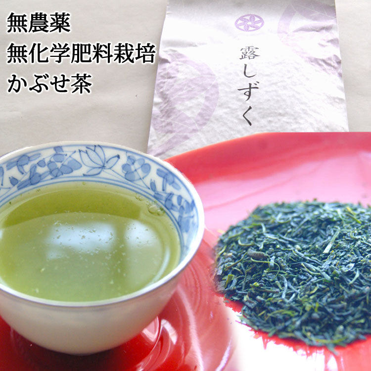 格安 2023新茶☆冠茶（かぶせ）100g×6個セット 茶 - www.affiprint.fr