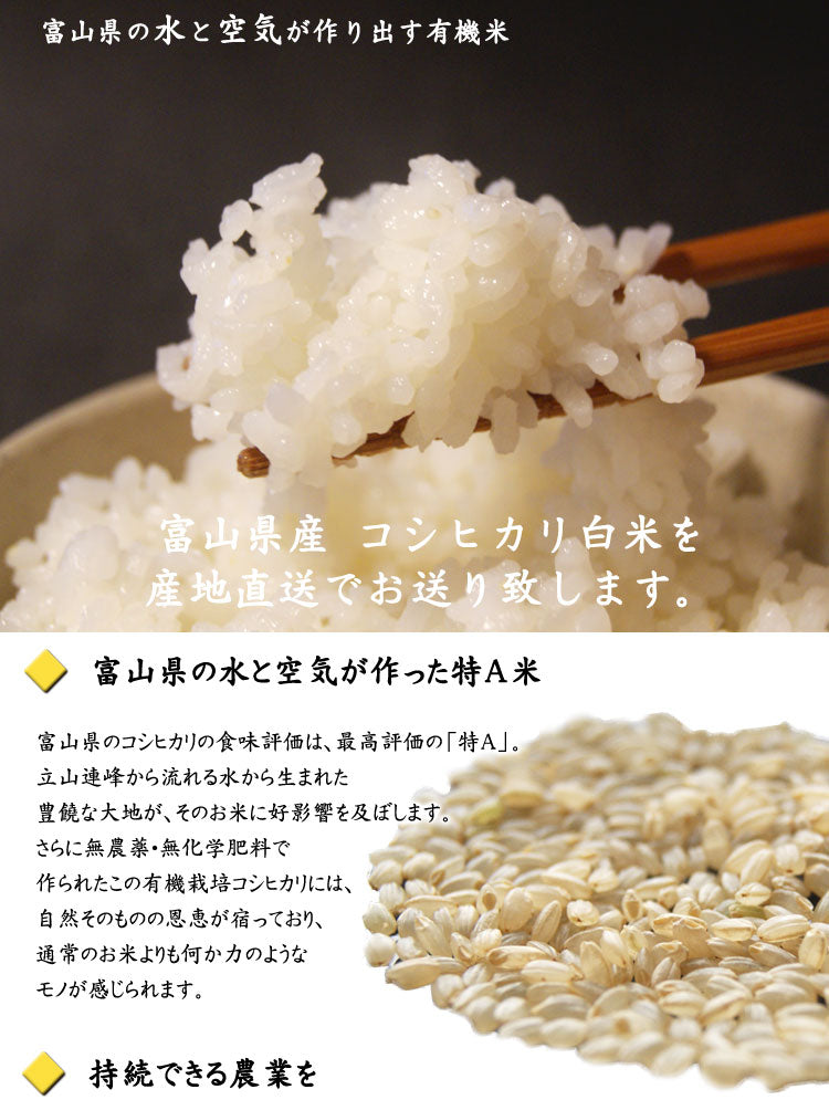 令和６年産新米 有機栽培米　「コシヒカリ」白米　約１０kｇ　＊送料込　