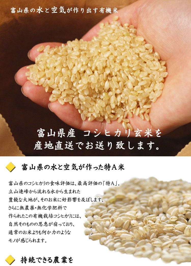 令和５年産 新米 有機栽培米　「コシヒカリ」玄米　約５kｇ　＊送料込　