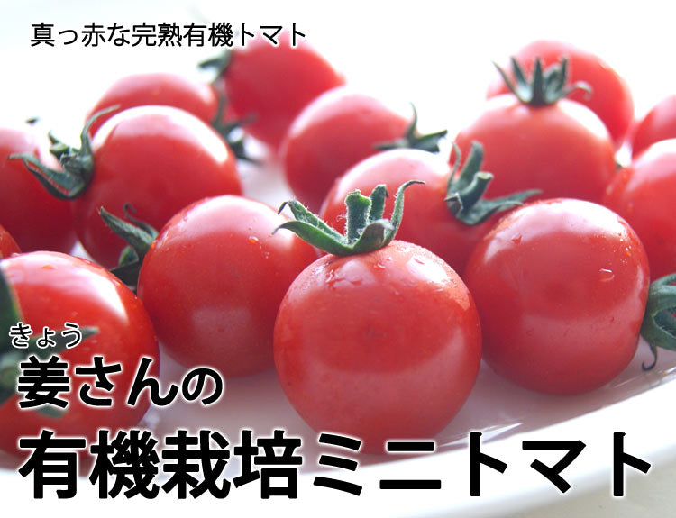 姜さんの「有機ミニトマト」 有機栽培 長野県産 約５００g（約１００g×５パック入）＊冷蔵便　＊送料込