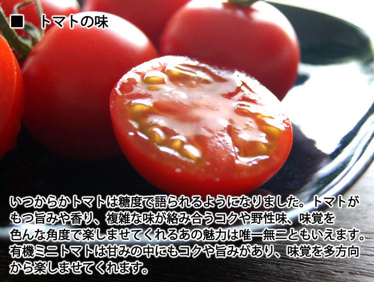 姜さんの「有機ミニトマト」 有機栽培 長野県産 約５００g（約１００g×５パック入）＊冷蔵便　＊送料込