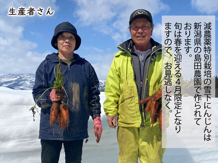 【業務用】島田農園の雪下にんじん 訳あり品大小混在 約５kg 減農薬特別栽培 新潟県産 品種：ひとみ五寸 ＊送料込　＊常温便　のコピー